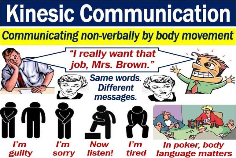 What Is Kinesics In Communication?