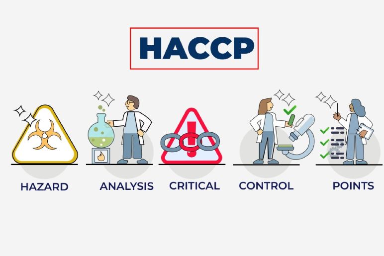 Implementing a HACCP System