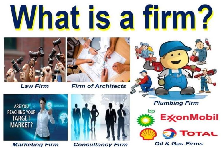 What is a Firm?