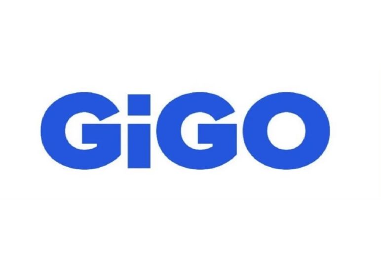 Common Causes of GIGO